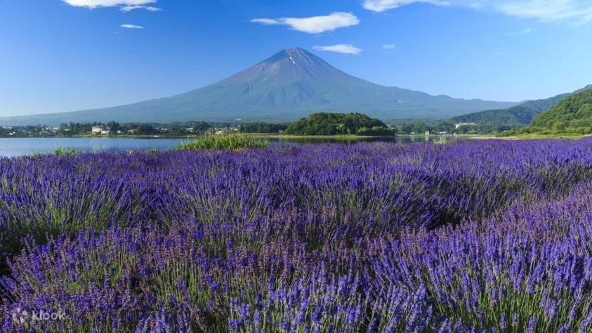 Fuji Cottage Fujikawaguchiko Luaran gambar